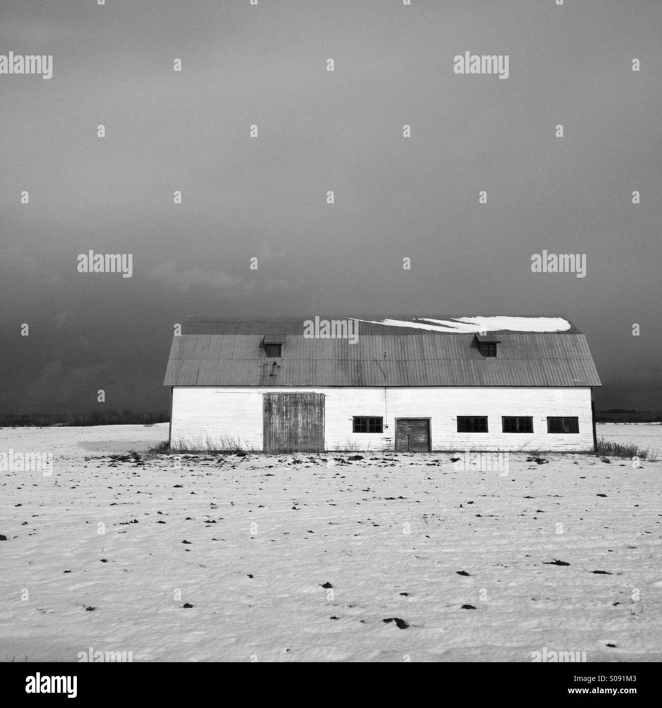 Winter scene - Smartphone Captured Stock Image