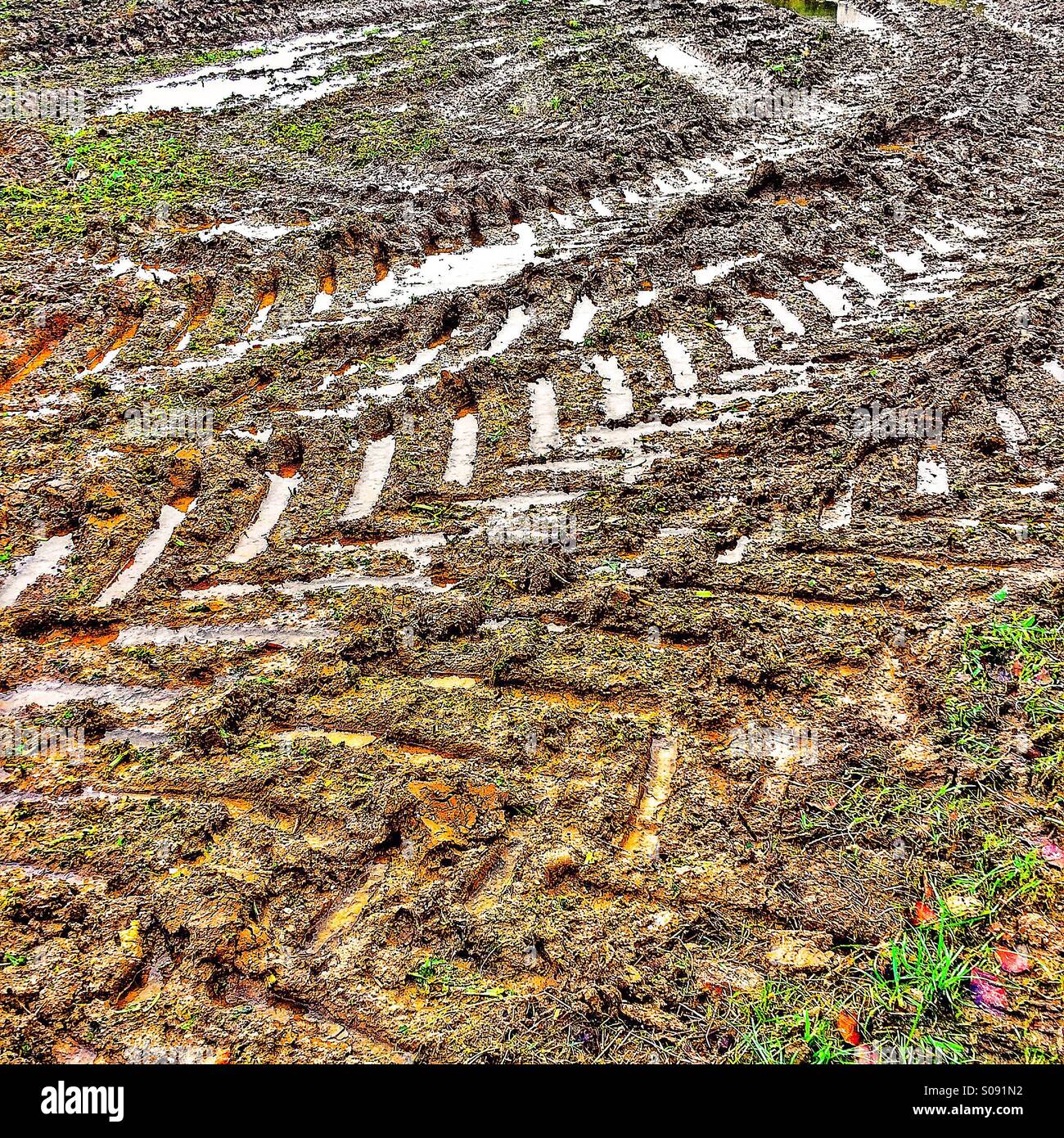 Tractor tyre tracks on muddy field - Smartphone Captured Stock Image
