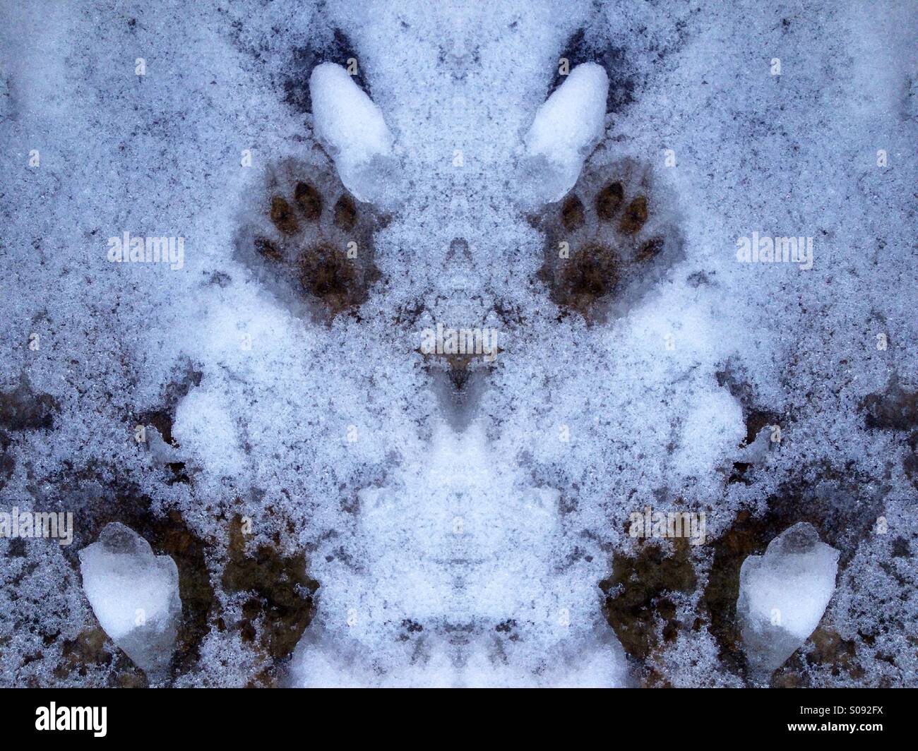 Symmetrical effect on cat paw prints in the snow - Smartphone Captured Stock Image