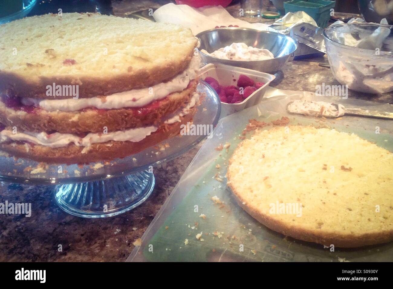 Cake assembly in process: vanilla sponge cake being layered with raspberry whipped cream and fresh raspberries. - Smartphone Captured Stock Image