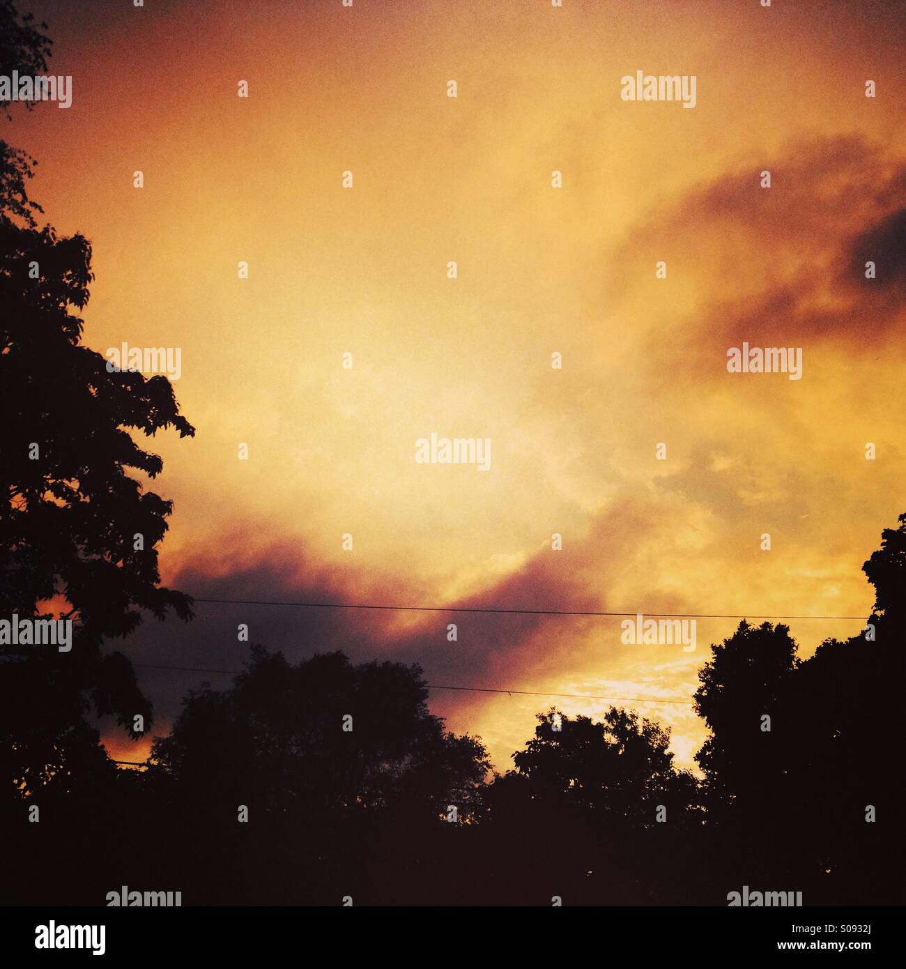 Black summer hi-res stock photography and images - Alamy