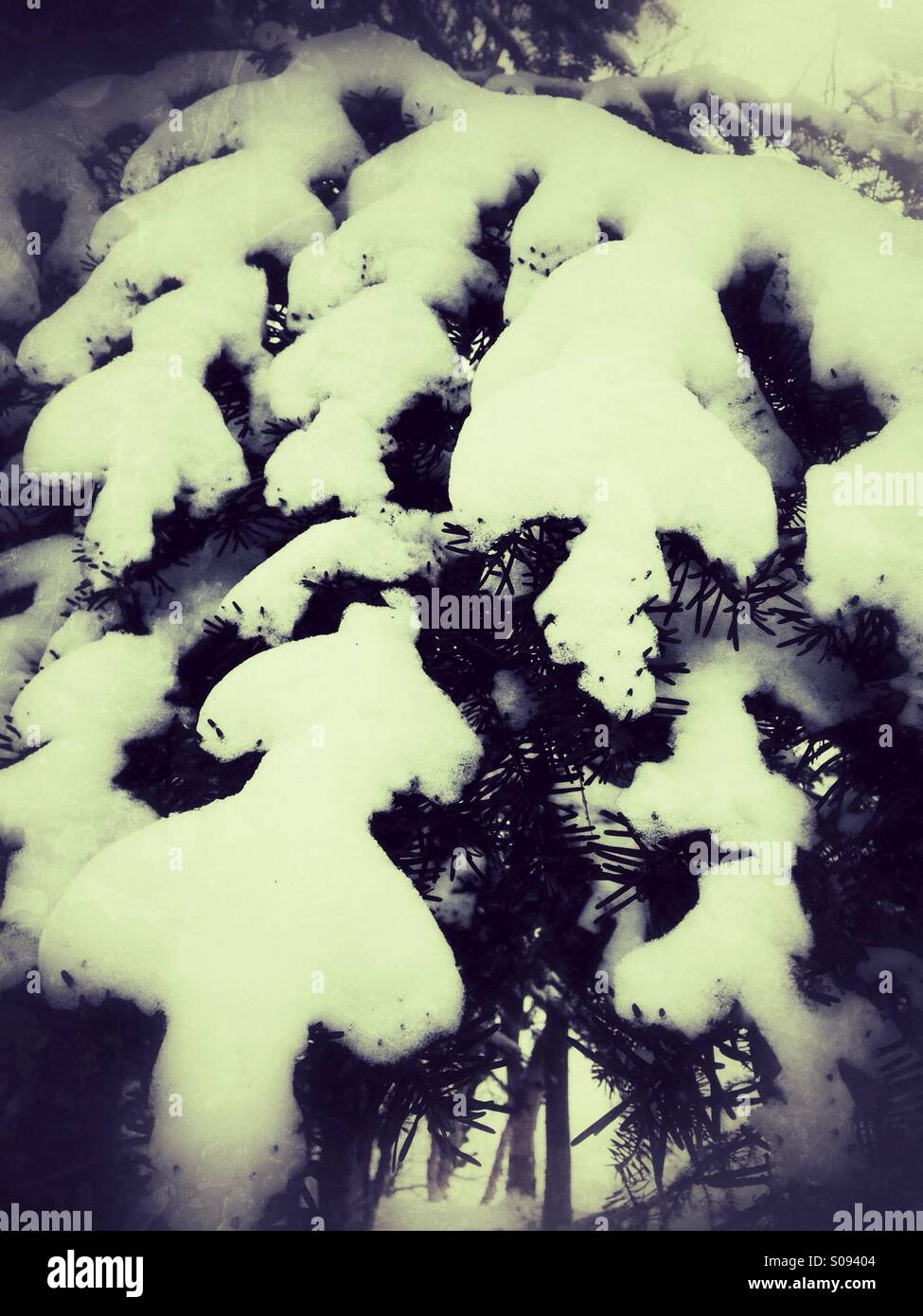 Snow - Smartphone Captured Stock Image