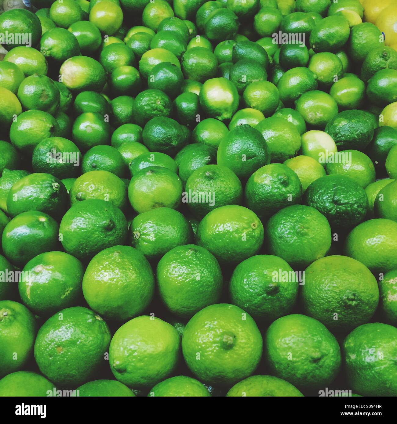 12.29.2014 . lincoln square/ limes . Stock Photo