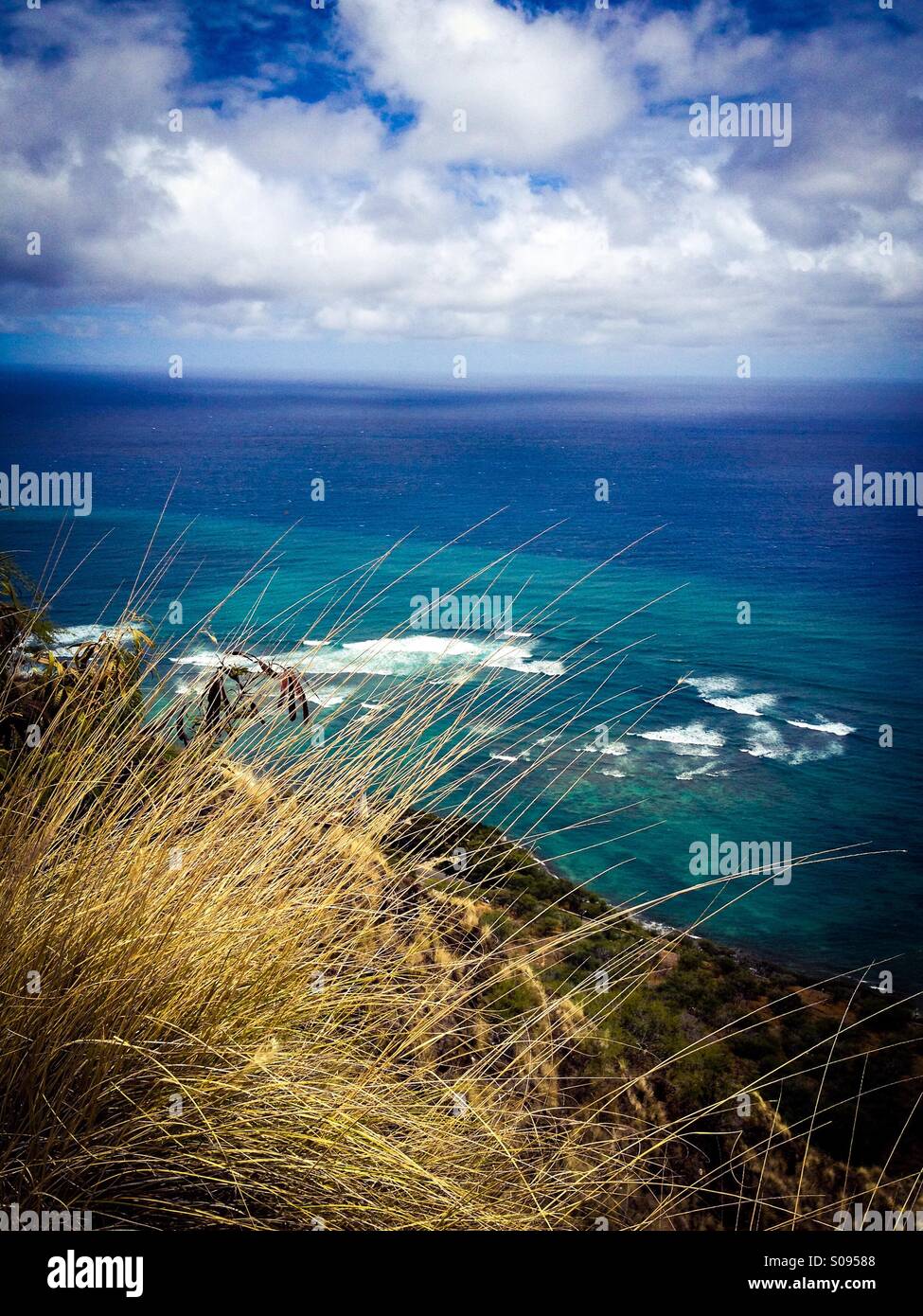 Looking down from a grass covered cliff over the Pacific Ocean in Hawaii. The yellow grass is in contrast with the turquoise and deep blue waters of the ocean. - Smartphone Captured Stock Image