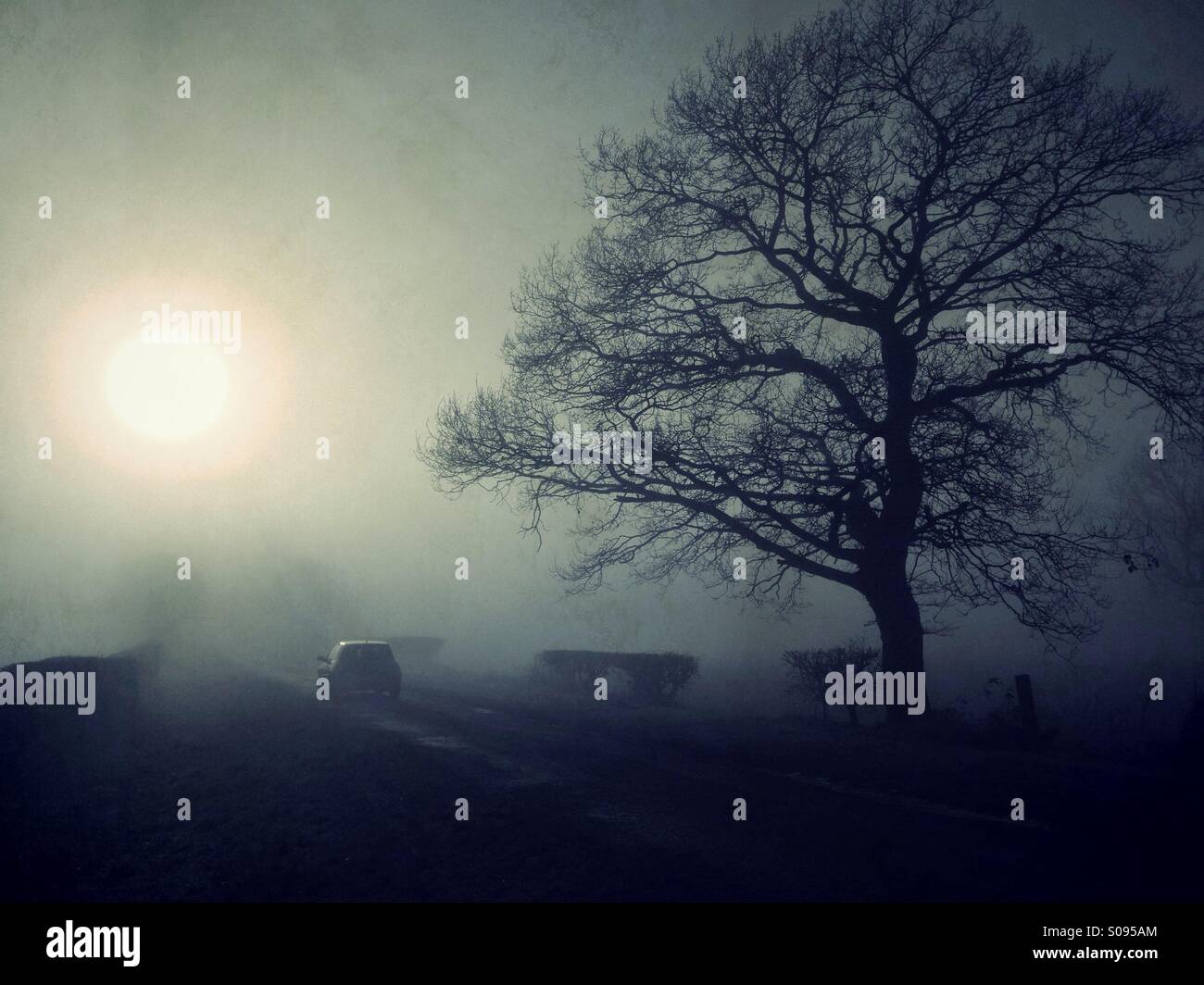Car driving along country lane in fog - Smartphone Captured Stock Image