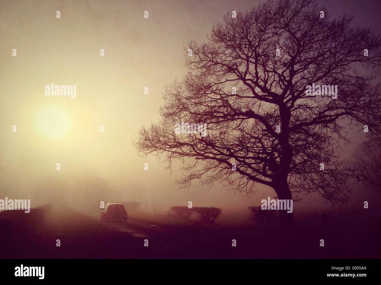 Car driving along country road in heavy mist - Smartphone Captured Stock Image