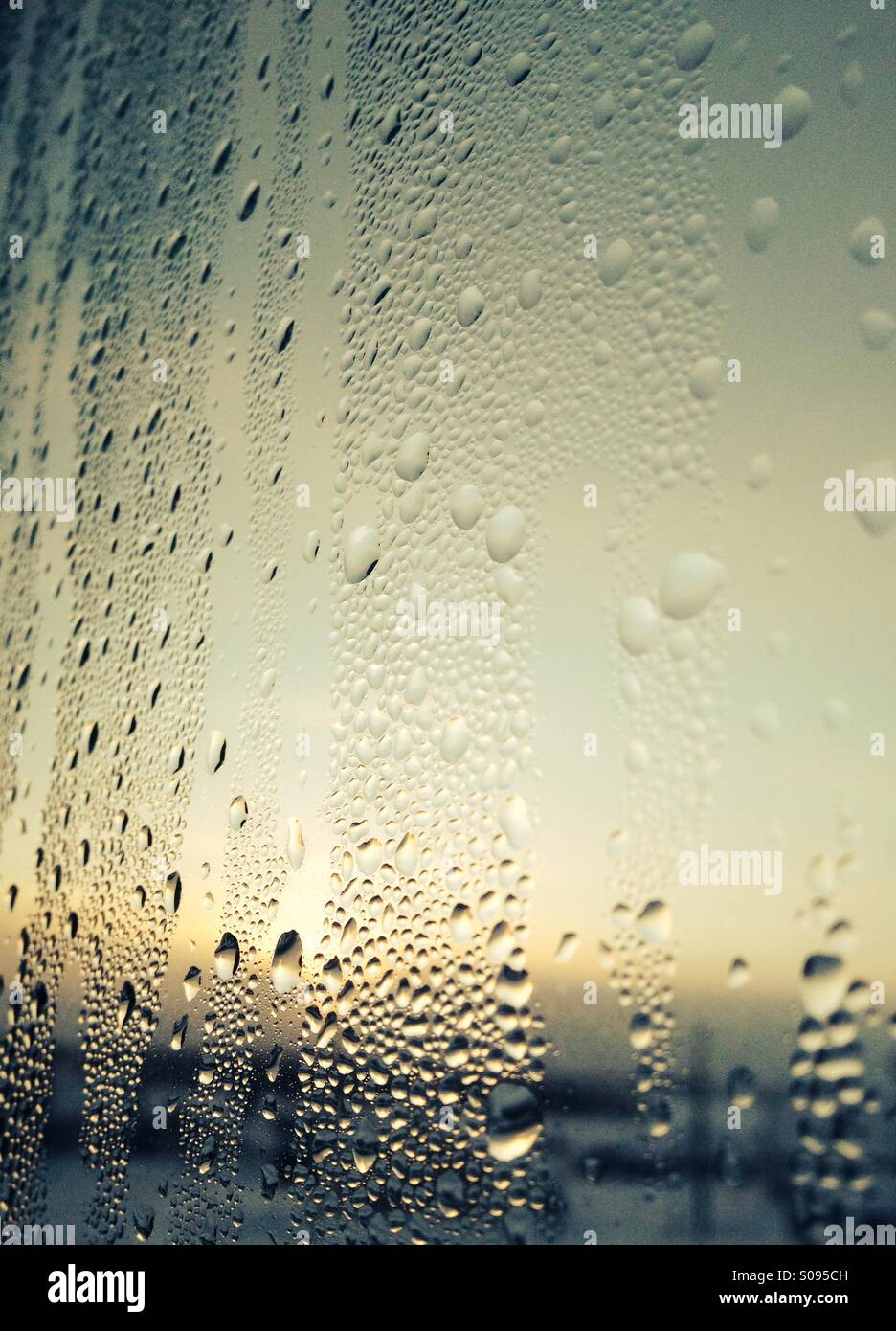 Drops - Smartphone Captured Stock Image