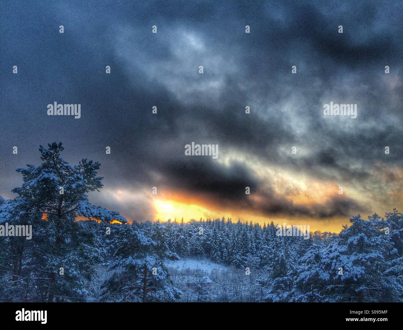 Fire Forrest High Resolution Stock Photography and Images - Alamy