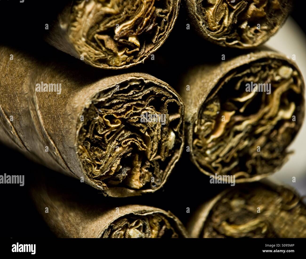 Dry cigars hires stock photography and images Alamy