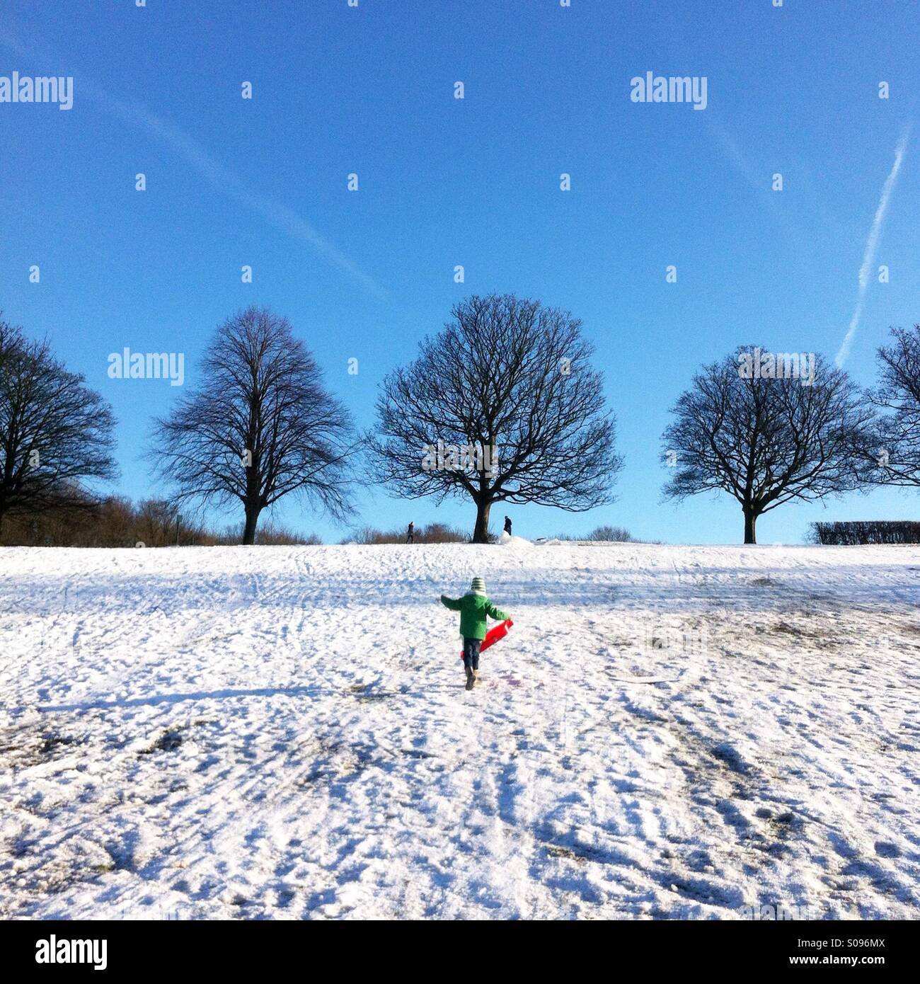 Sledging, Chapletown park, Sheffield, England, United Kingdom. - Smartphone Captured Stock Image