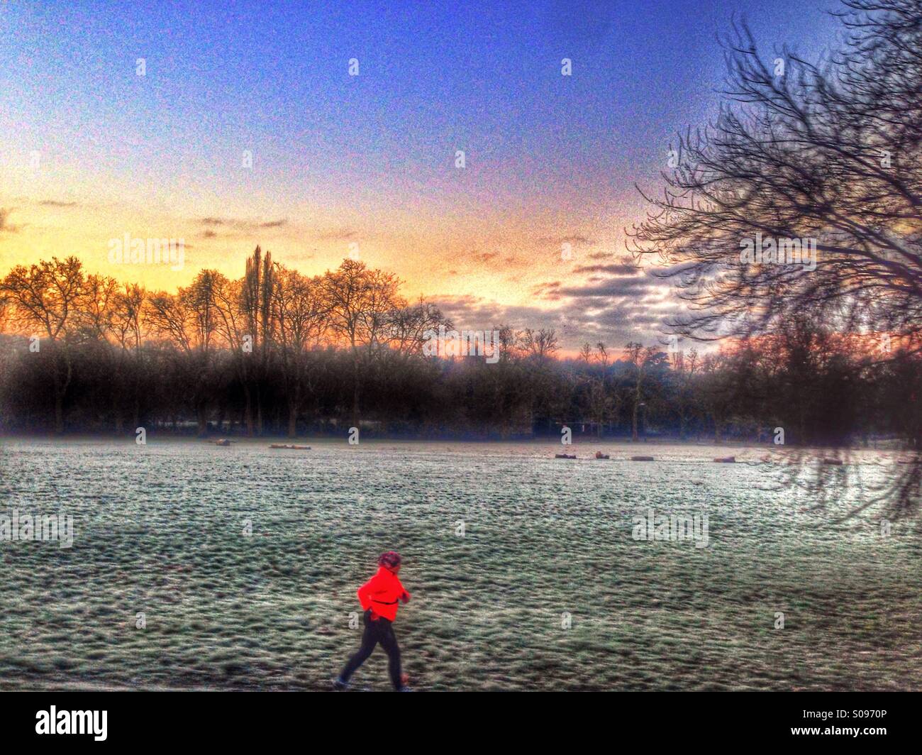 Jogging in a frosty Peckham Rye park Stock Photo - Alamy
