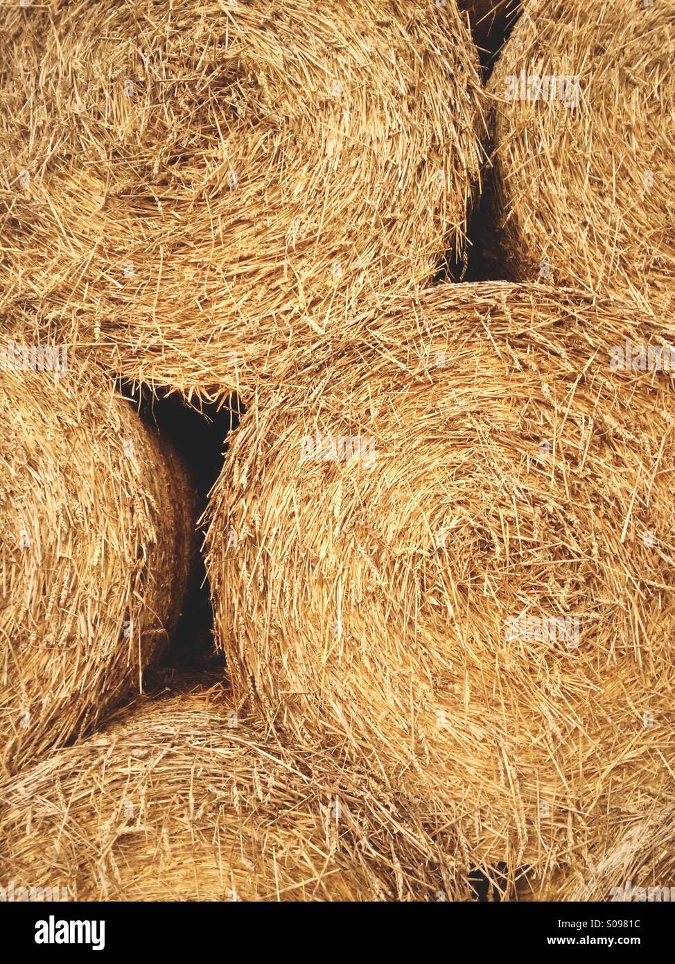 Bales of hay stacked up after the harvest for the winter. - Smartphone Captured Stock Image