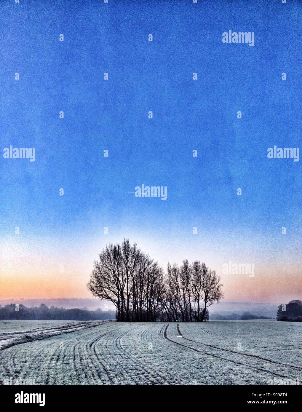 Frosty morning at sunrise - Smartphone Captured Stock Image