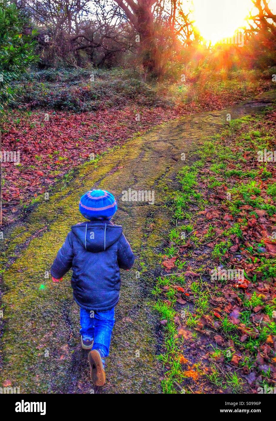 A little boy runs into the woods. Stock Photo