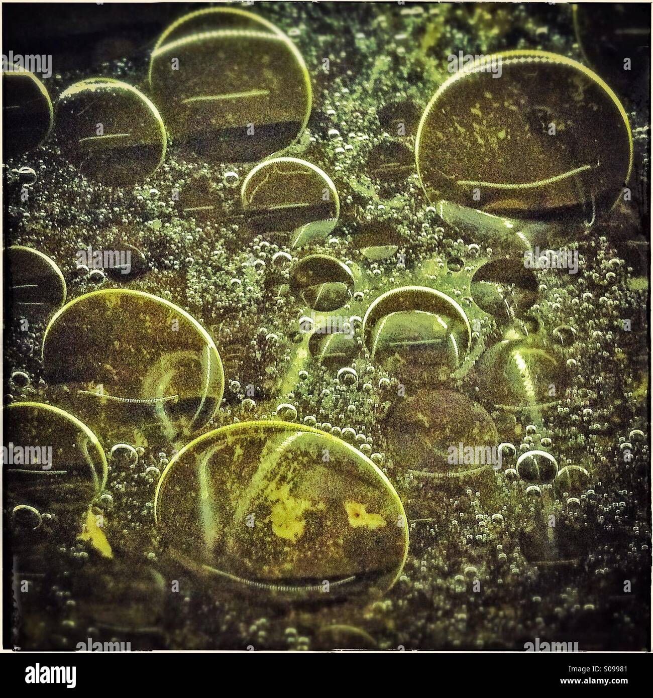 Oil bubble hi-res stock photography and images - Alamy
