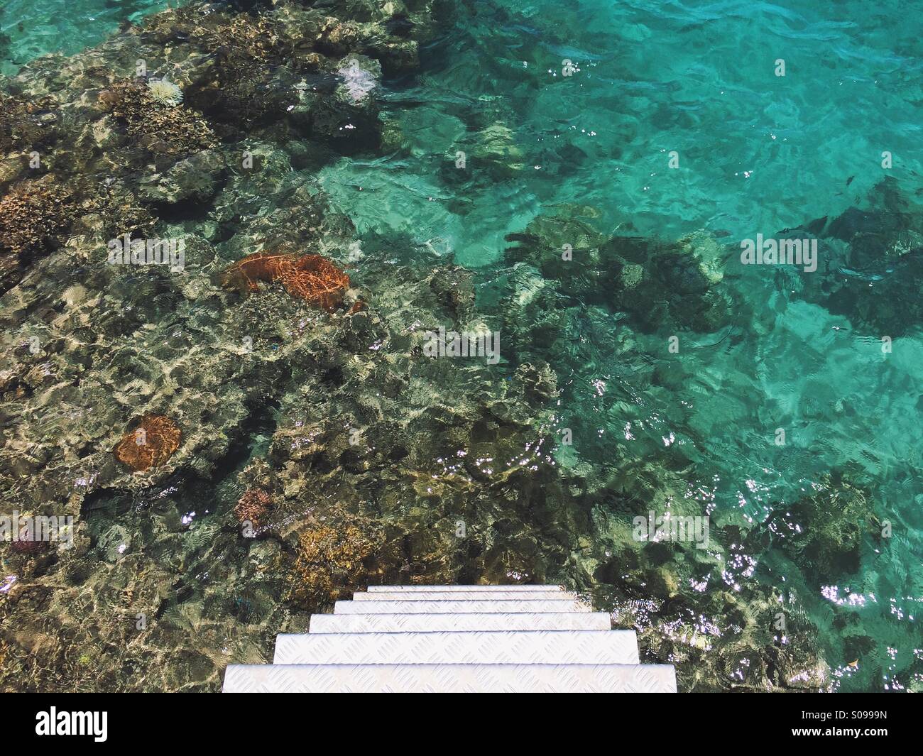 Metal steps leading to coral covered crystal clear ocean floor in paradise. Stock Photo