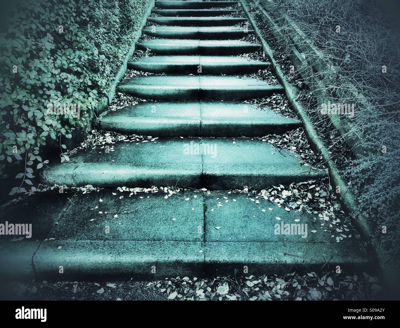 Outdoor steps - Smartphone Captured Stock Image