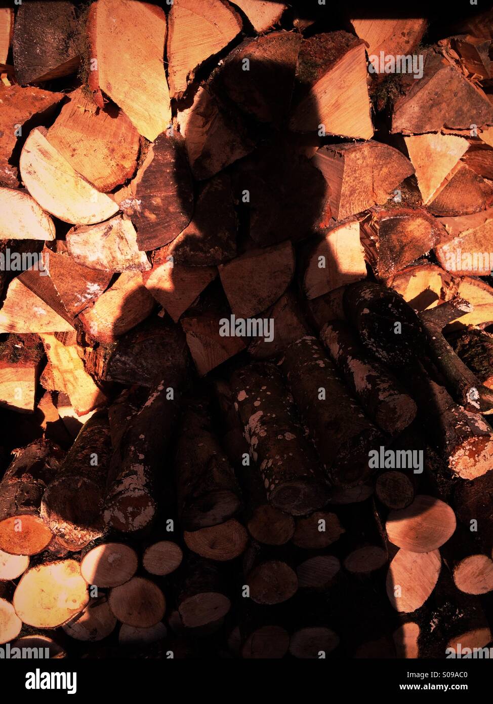 Shadow of a woman in a winter coat against a stack of logs. - Smartphone Captured Stock Image