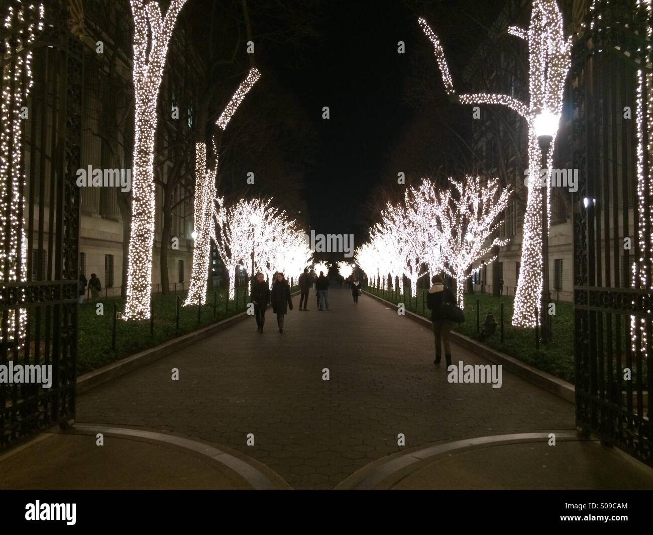 Columbia university tree lighting Stock Photo - Alamy