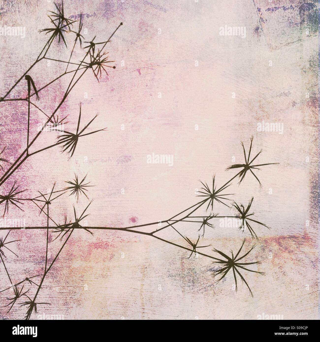 Weeds in Winter - Smartphone Captured Stock Image