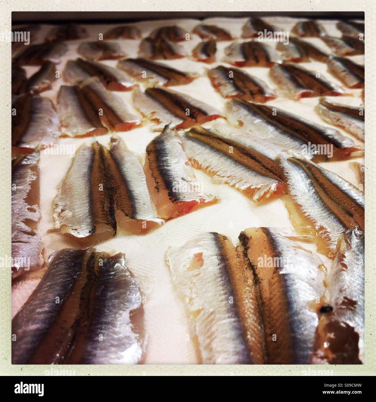 Anchovies prepared for cooking - Smartphone Captured Stock Image