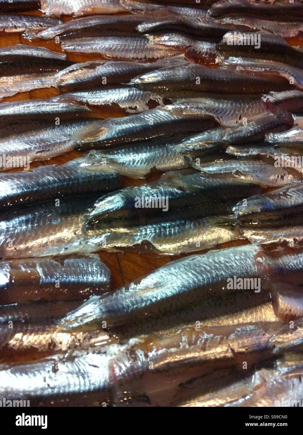 Anchovies prepared for cooking Stock Photo - Alamy