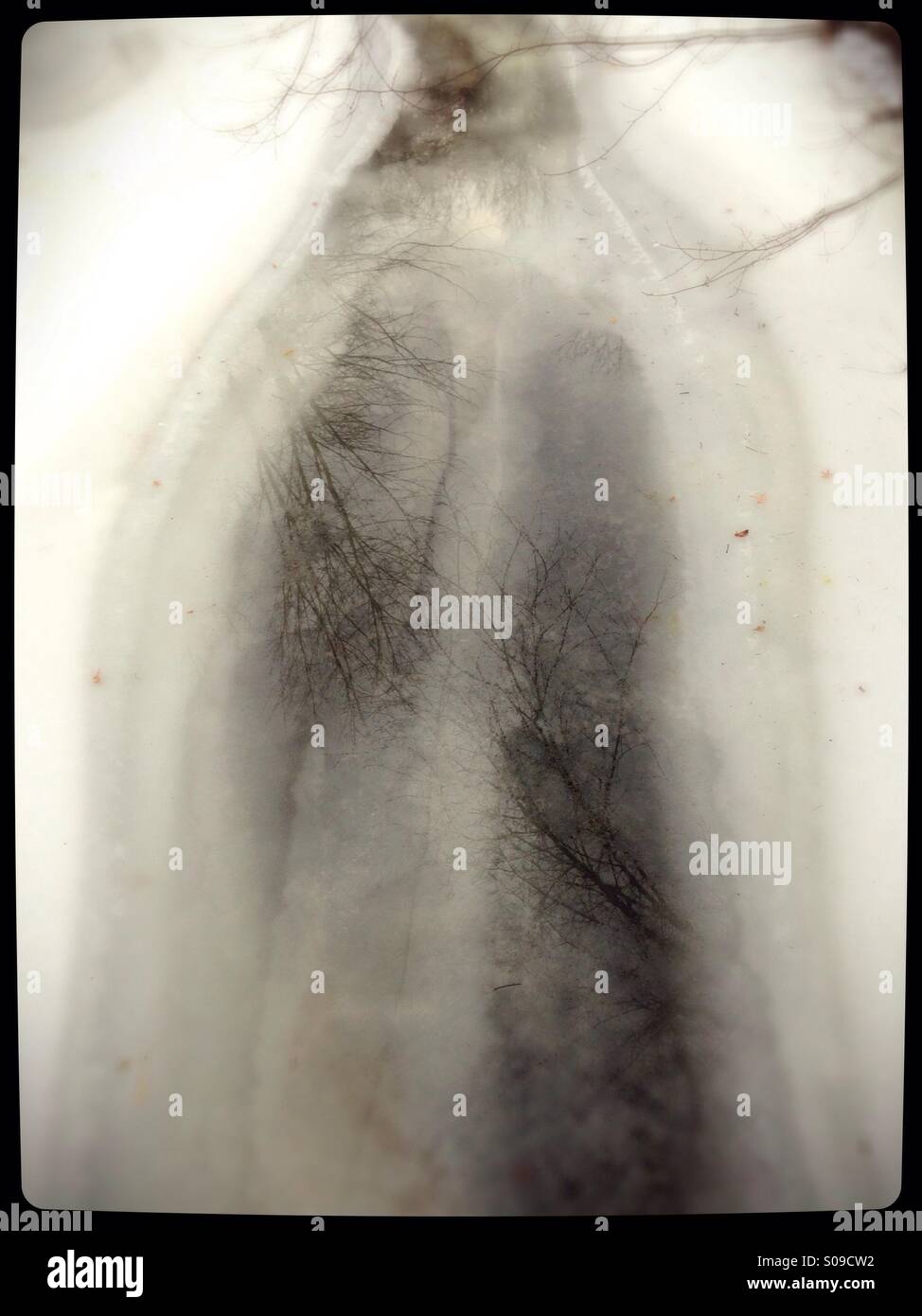 A section of a semi-frozen creek that looks like a chest xray. Stock Photo