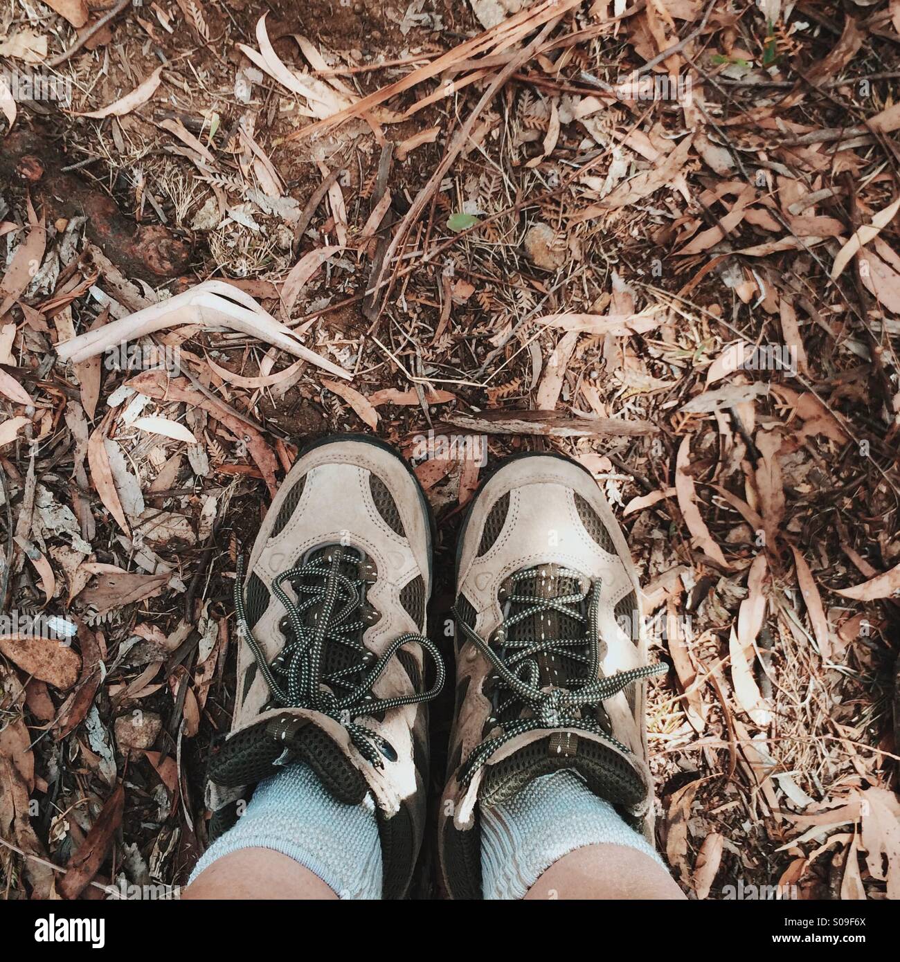 Hiking walking boots hi-res stock photography and images - Alamy