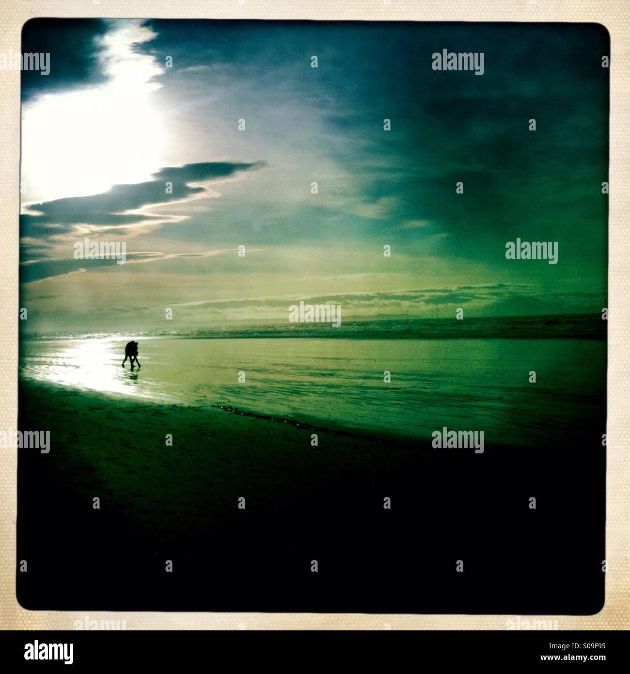 Kiss on a winter morning - Smartphone Captured Stock Image