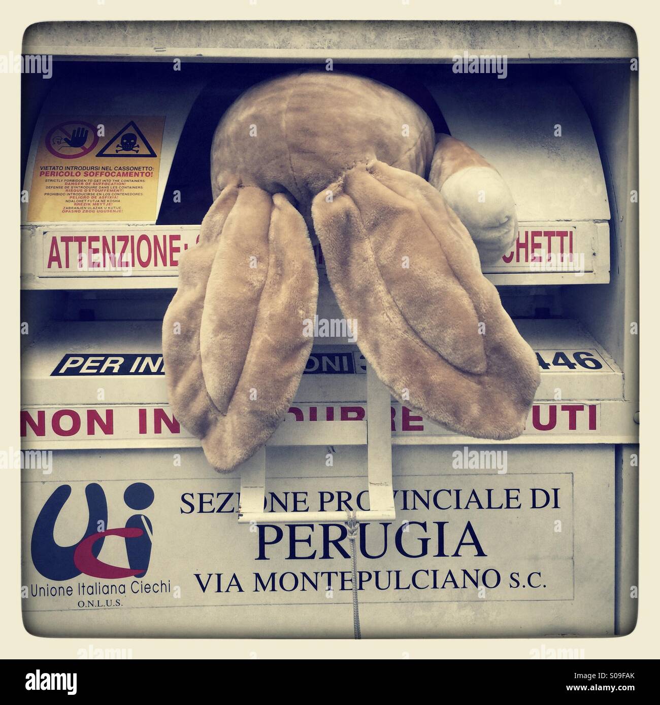 Who murdered Bugs Bunny ? Peluche rabbit throw away - Smartphone Captured Stock Image