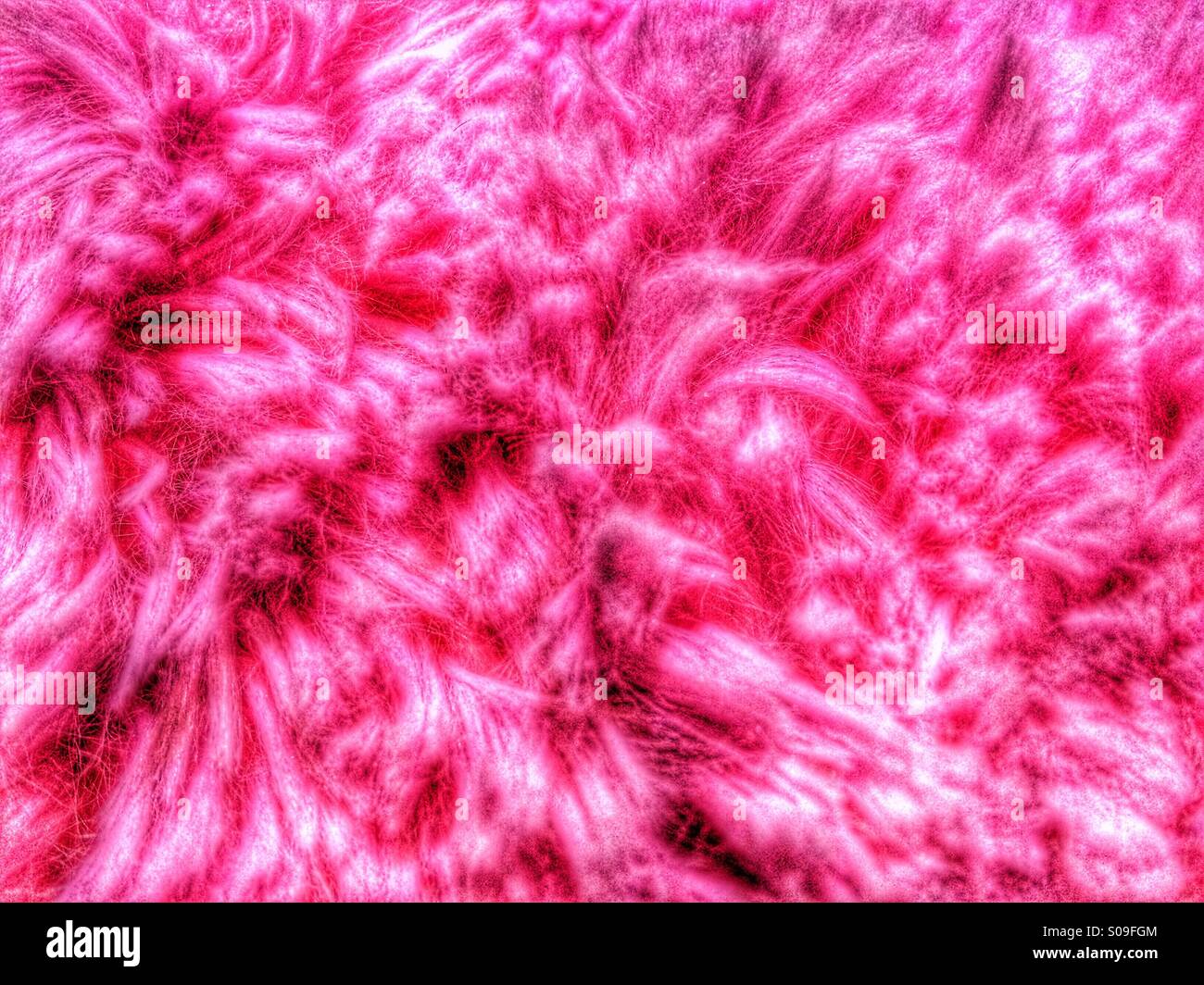 Pink Fluffy Blanket Stock Photo Alamy