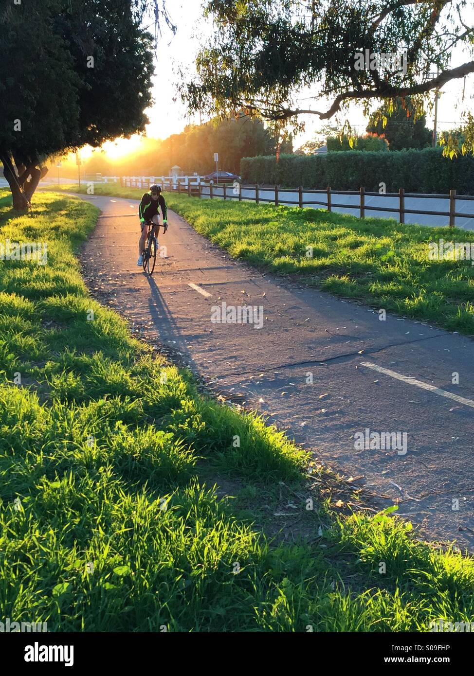 Adult bicyclist riding on bike path at dusk with long shadow and golden light. Stock Photo