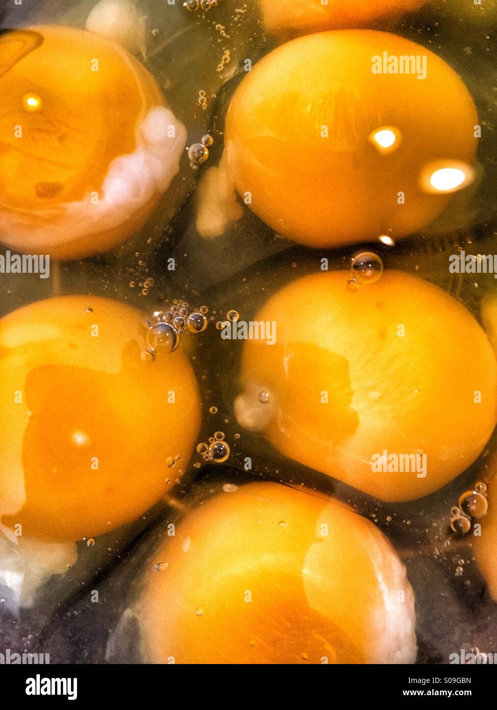A bowl of raw eggs - Smartphone Captured Stock Image