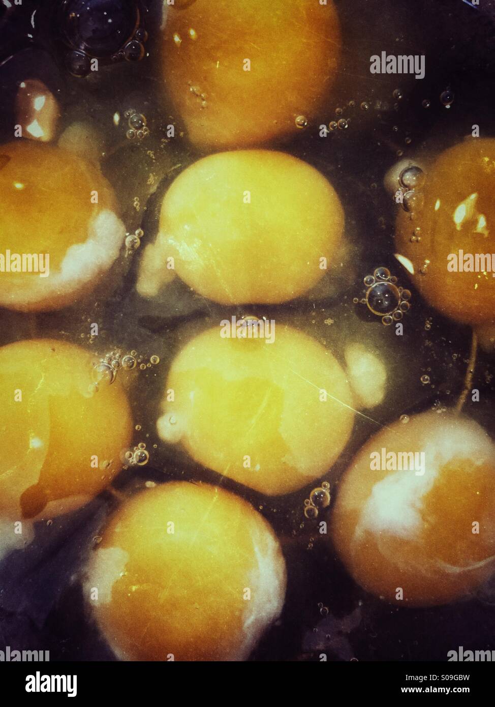 A bowl full of raw eggs - Smartphone Captured Stock Image