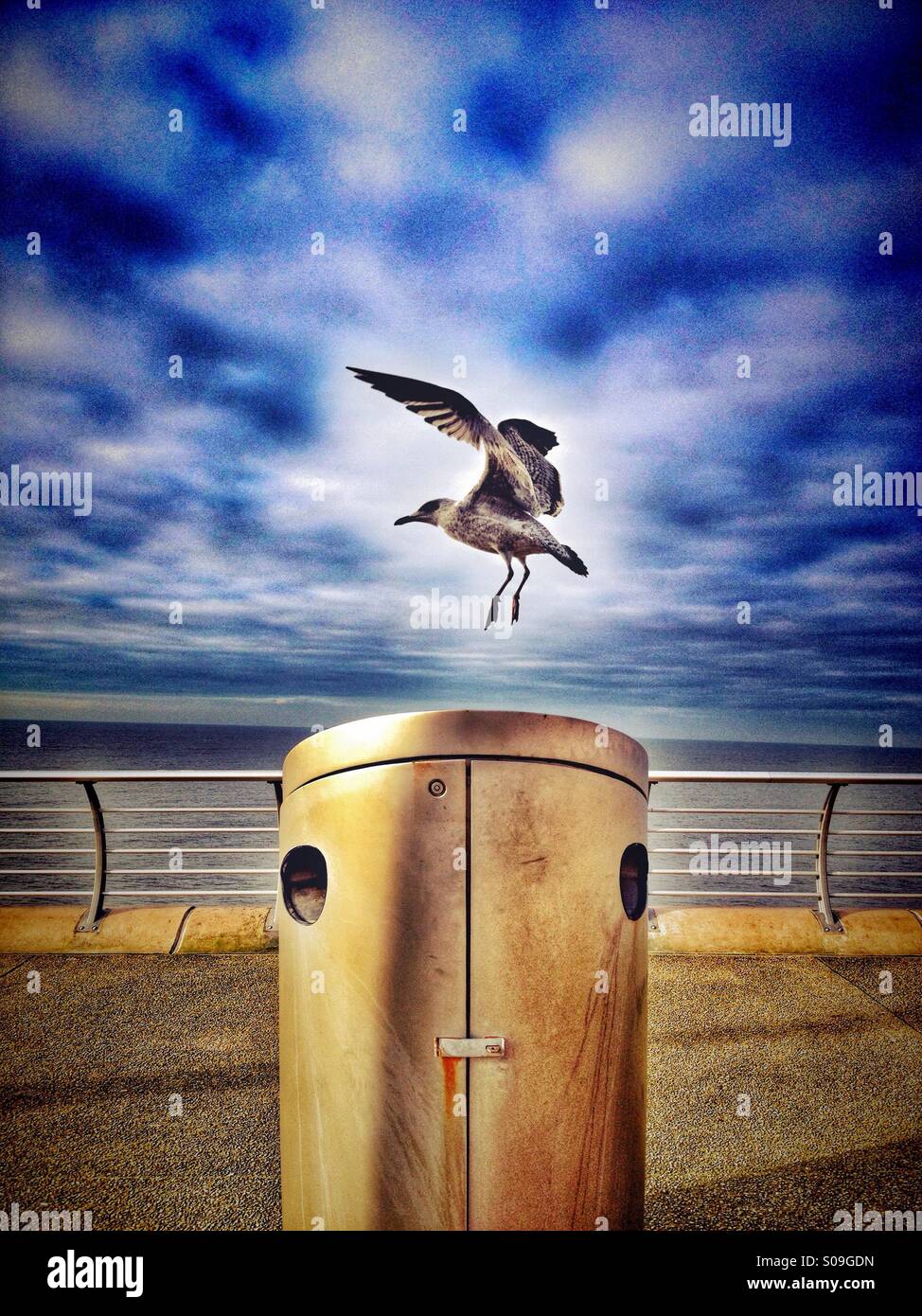 Seagull taking flight from symmetrical designer waste bin on Blackpool promenade - Smartphone Captured Stock Image