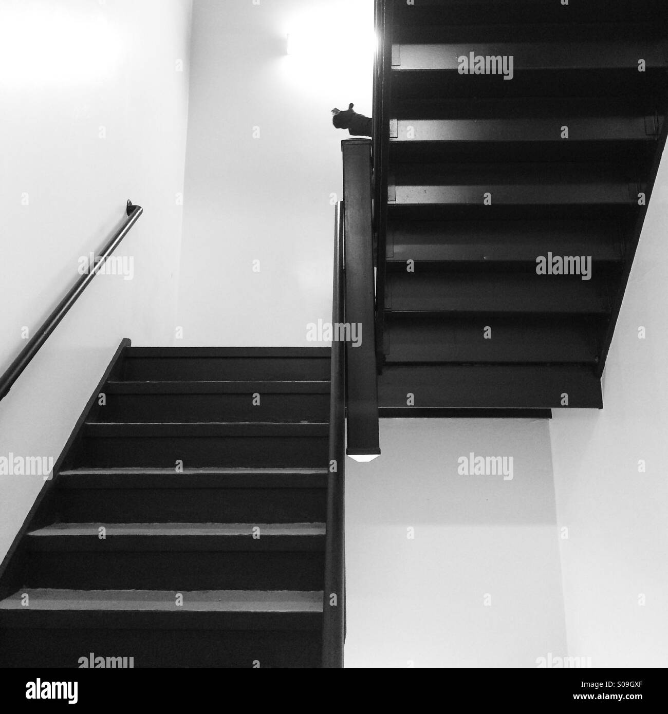 The phone leads the man Stock Photo Alamy