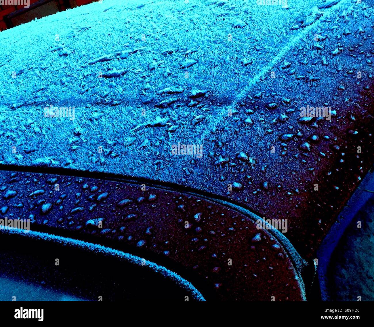Frost on Car Roof Stock Photo Alamy