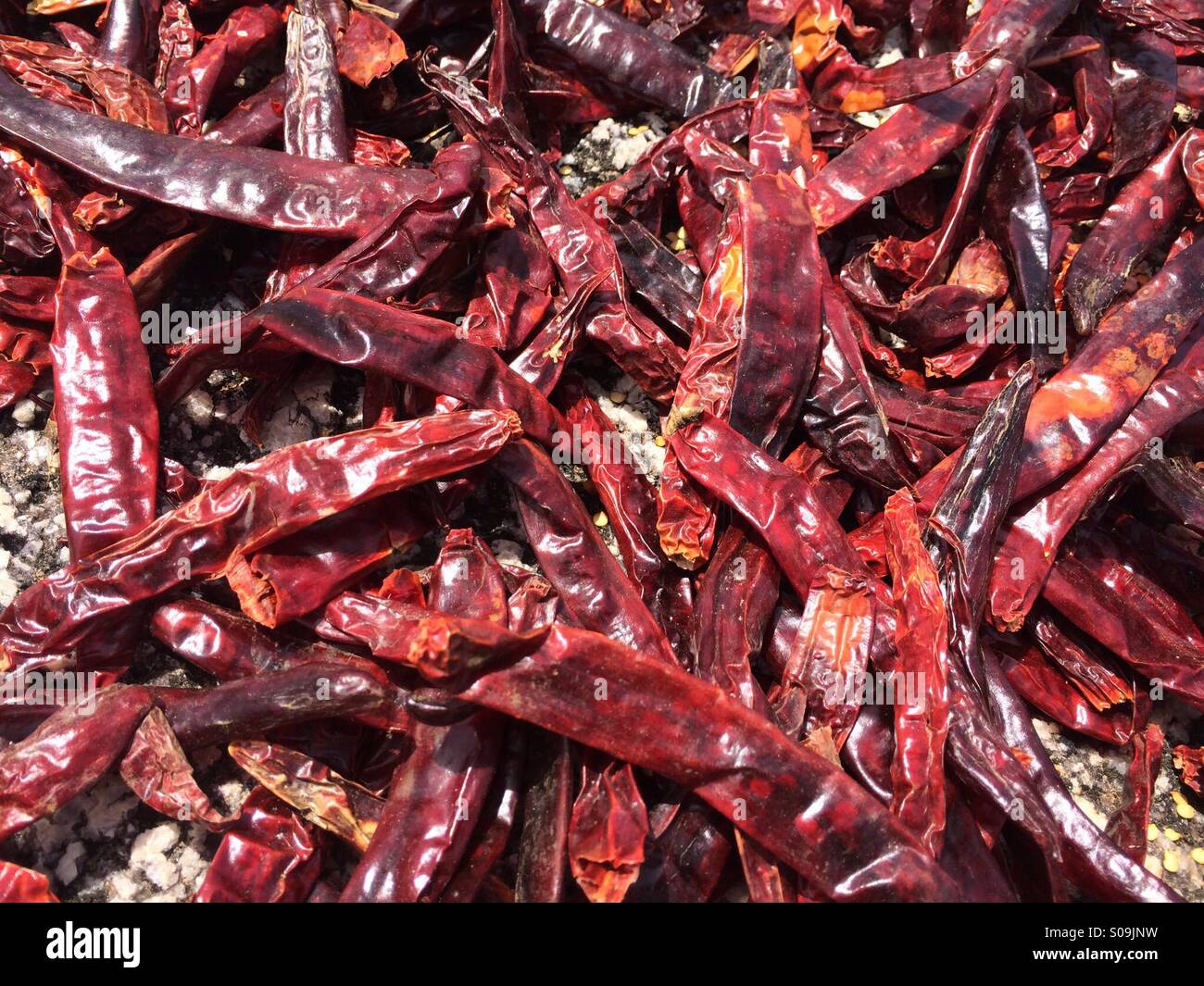 Chilli from Thailand Stock Photo Alamy