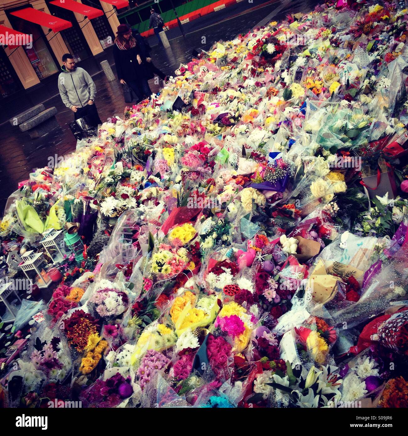 Flowers laid in tribute to the victims of the bin lorry crash on December 22nd 2014, in Glasgow, Scotland Stock Photo