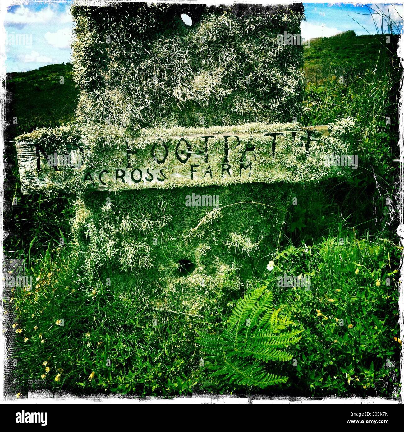 No footpath across farm. - Smartphone Captured Stock Image