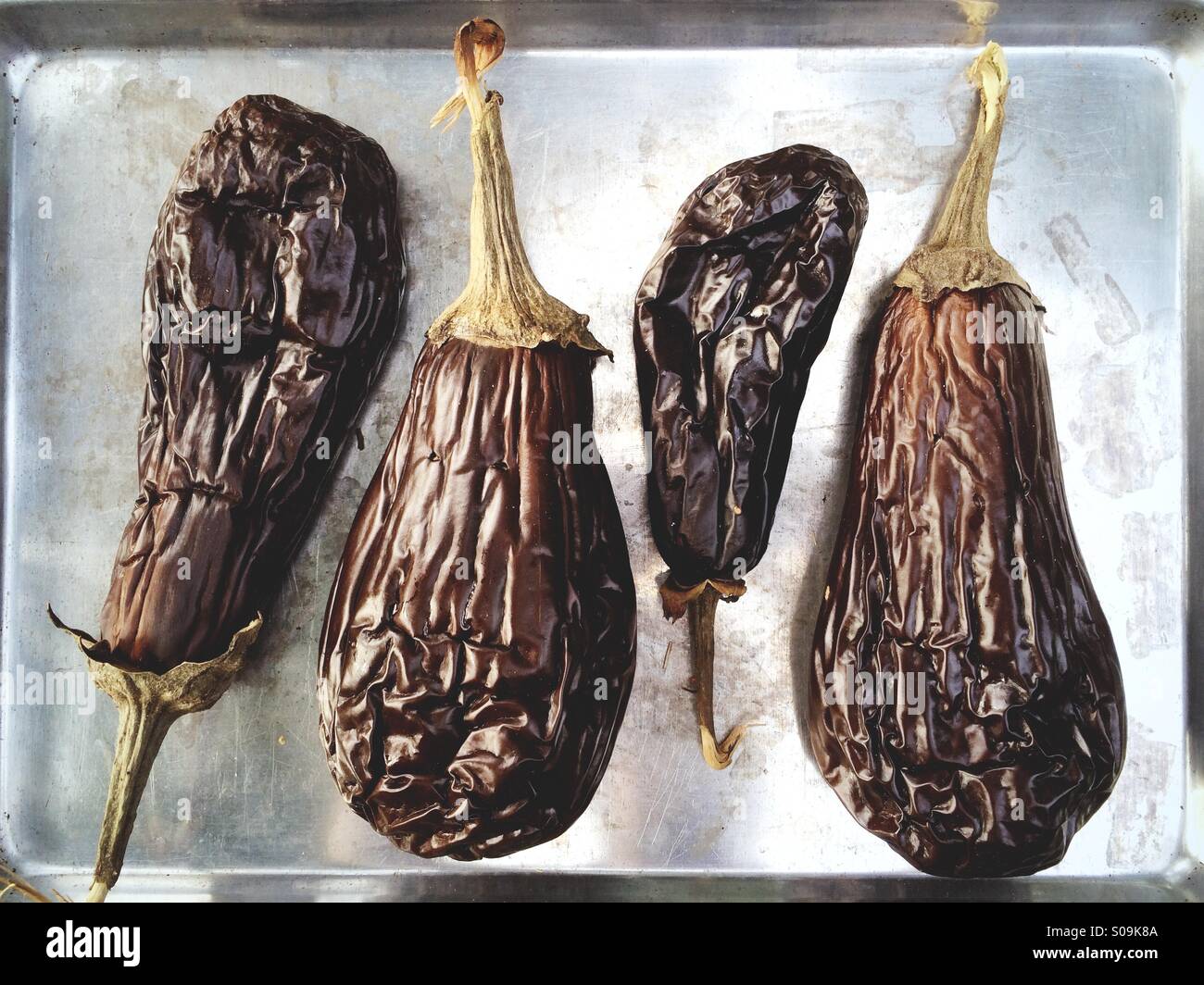 A tray of grilled eggplant or aubergine. Stock Photo