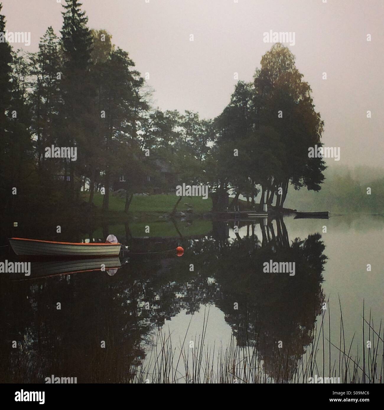 Lake still lika a mirror - Smartphone Captured Stock Image