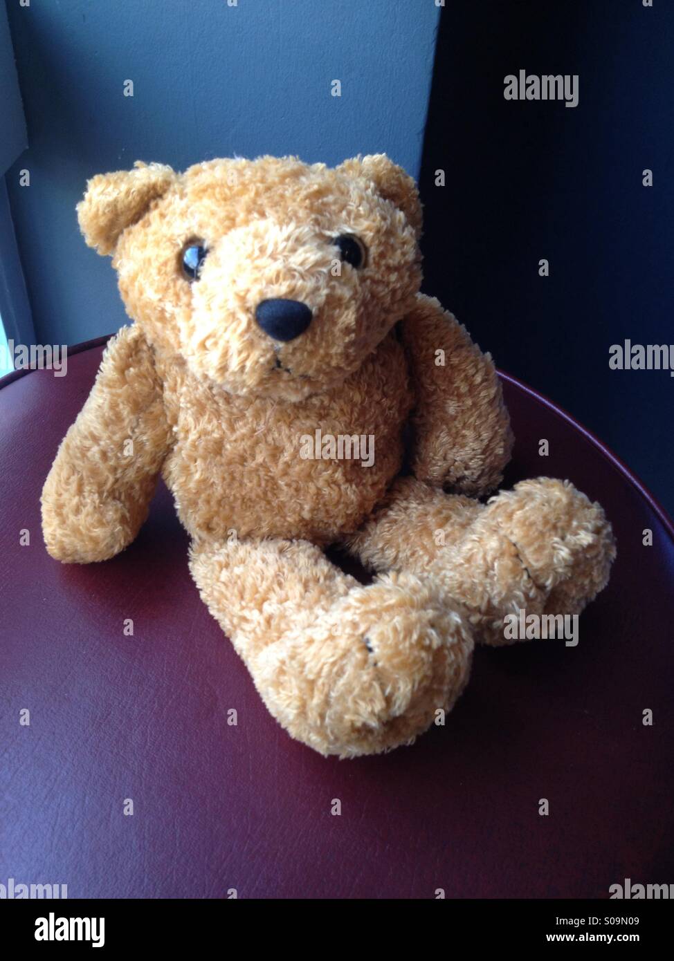 Teddy bear on vinyl covered stool in Bristol UK cafe Stock Photo Alamy