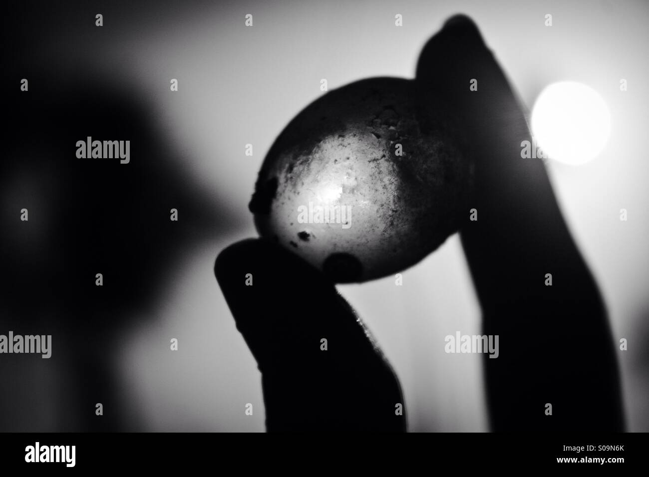 A woman holding a fish egg collected on a beach in Dominican Republic