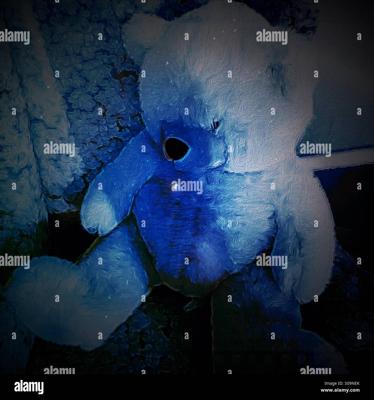 Blue Teddy with glitter - Smartphone Captured Stock Image