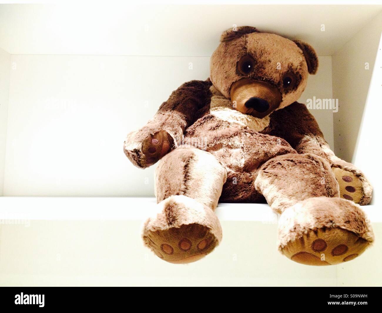 Teddy bear sitting on top shelf - Smartphone Captured Stock Image
