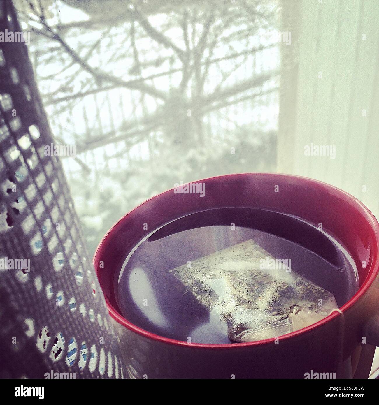 Cosy winter tea Stock Photo Alamy