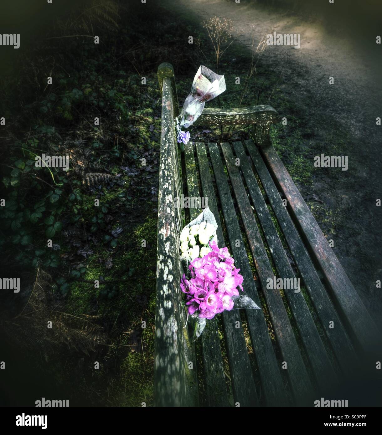 Flowers memorial bench hires stock photography and images Alamy