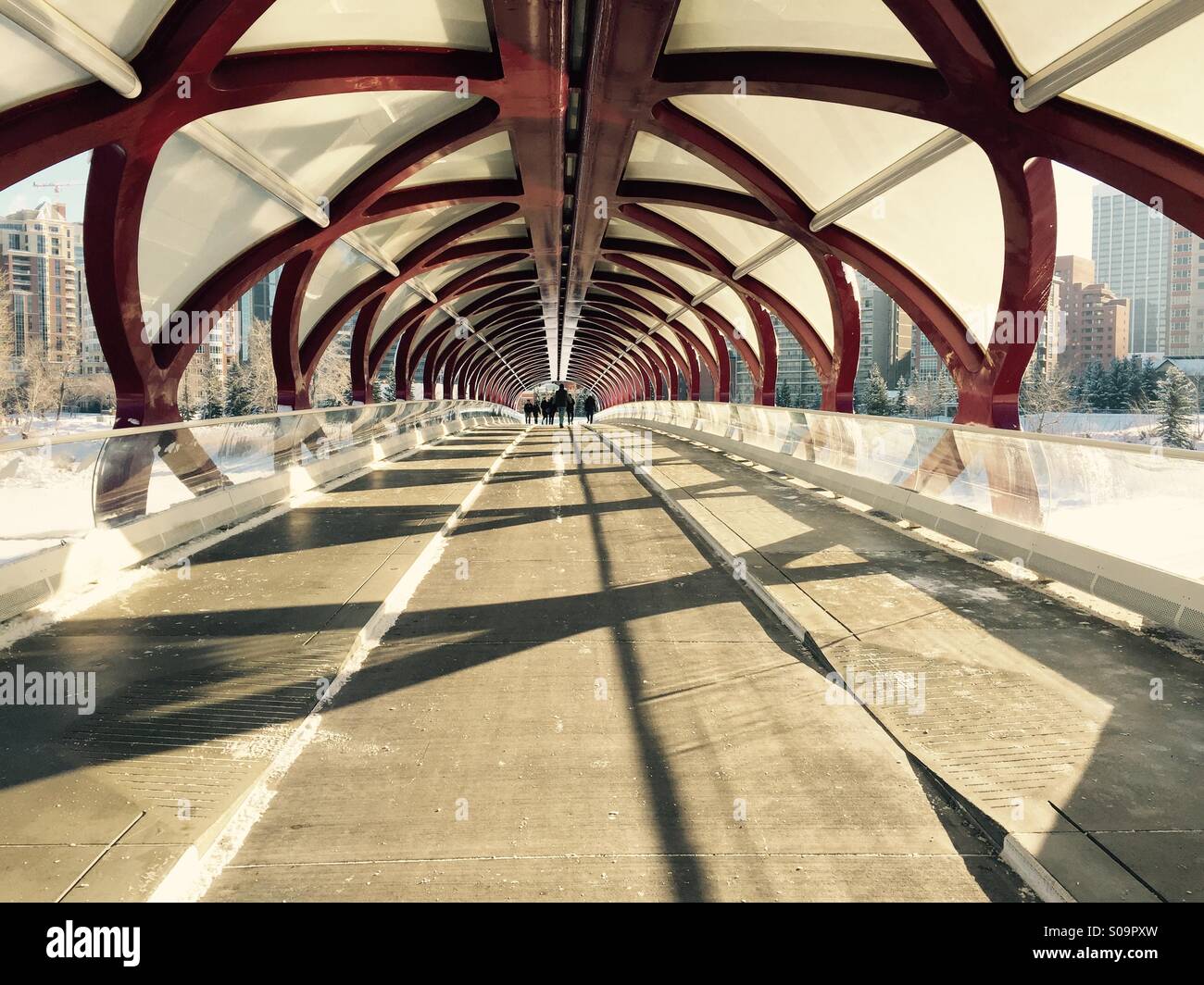 Peace Bridge in Calgary Alberta Canada - Smartphone Captured Stock Image
