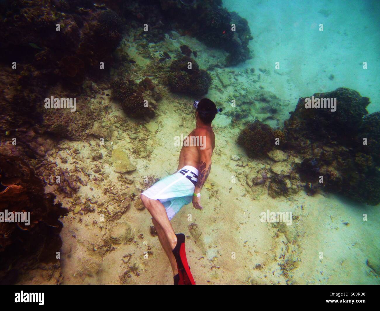 Free diving in Bali Stock Photo Alamy